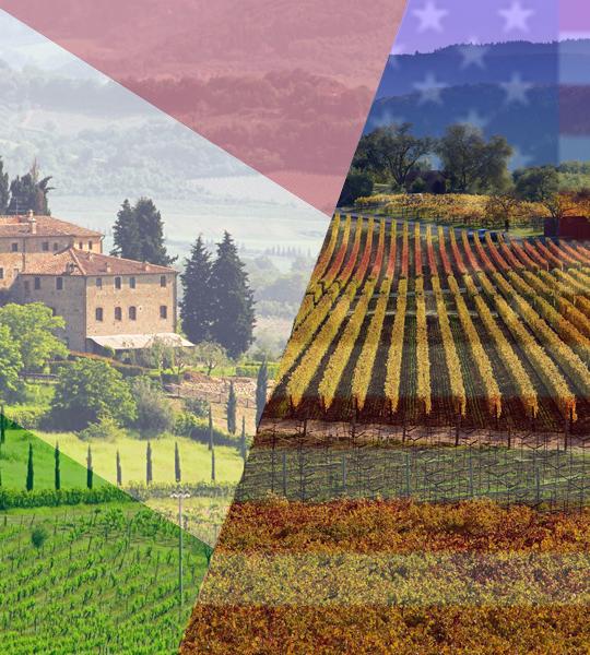 Italy VS USA Wine Tasting image
