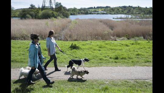 A Walk in the Park - Ranger Ramble at Walthamstow Marshes image