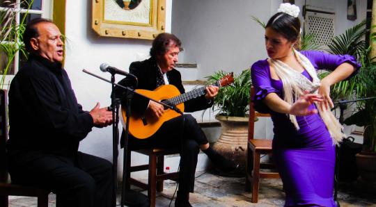 Juan Martin: Arte Flamenco Puro image