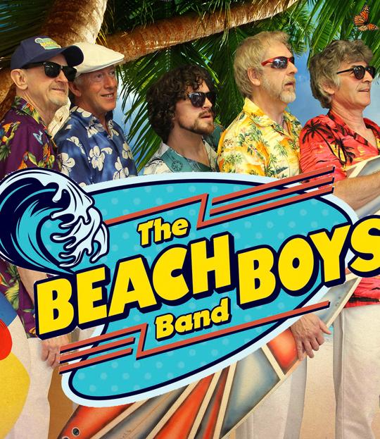 The Beach Boys Story image