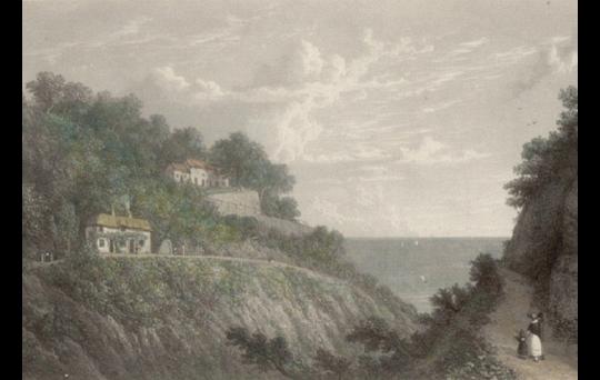 Primrose Island: Keats and the Isle of Wight image