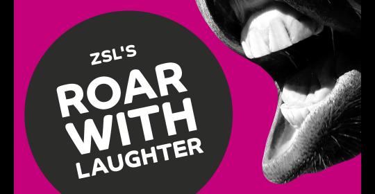 ZSL's Roar with Laughter image
