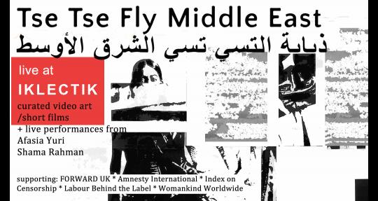 Tse Tse Fly Middle East Live in London image