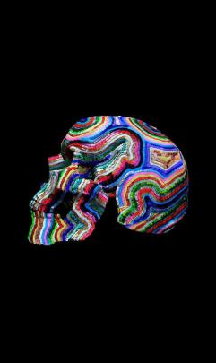 Lauren Baker Gallery Presents: Day of The Dead Skull Art Workshop image