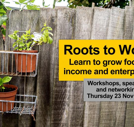 Roots to Work image
