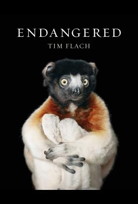 Endangered: Species behind the lens image