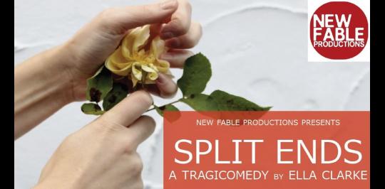 Split Ends - A Tragicomedy image