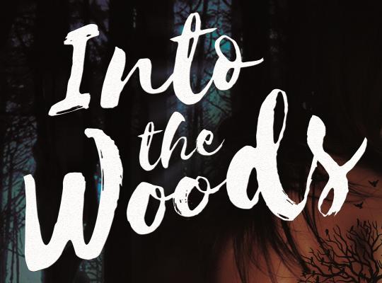 Into The Woods image