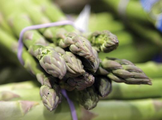 Asparagus Nouveau: Seasonal Showcase Of English Asparagus Fresh From The Farm image