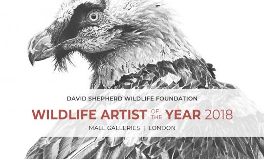 Wildlife Artist of the Year image