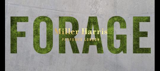 Forage with Miller Harris image