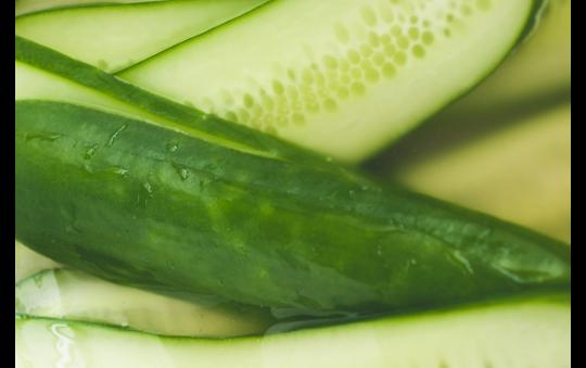 How to Grow, Pickle & Preserve Cucumbers (and other vegetables) image