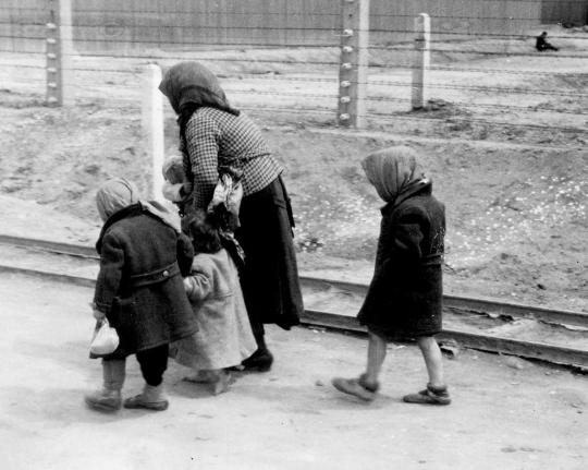 100,000 Lost: Child Victims of the Holocaust in Hungary image