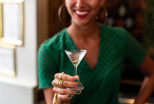 Hendrick's Gin Tini Martini Bar image