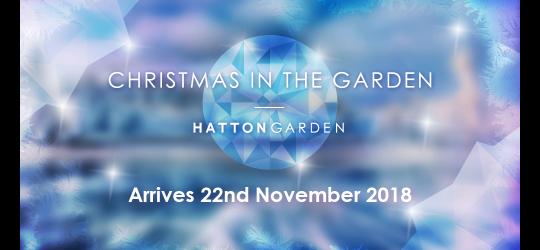 Christmas in the Garden image