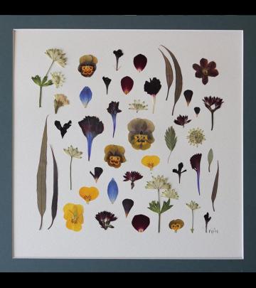 Pressed Flowers Card Workshop image