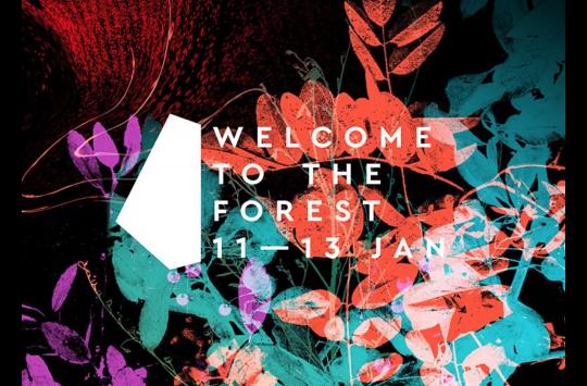 Welcome to the Forest image