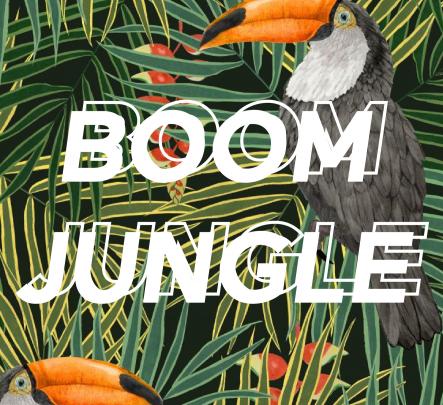 Boom Jungle image