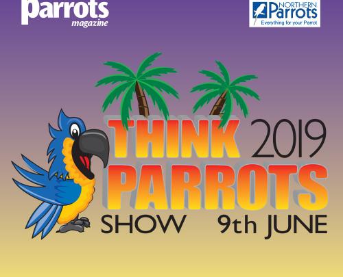 Think Parrots Show 2019 image