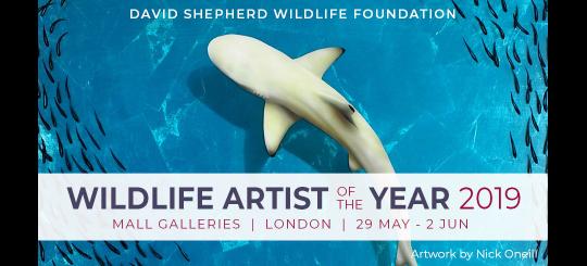 Wildlife Artist of the Year 2019 Exhibition image