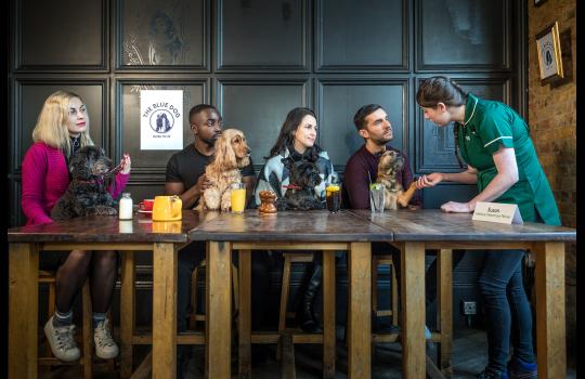 Pubs Serve Up Dog Wellbeing Sessions image