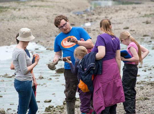 Join the Tadpoles! Thames Discovery Programme Tadpoles Season Launch image