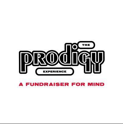 The Prodigy Experience - a fundraiser for 'Mind' image
