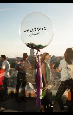 Welltodo Summit image