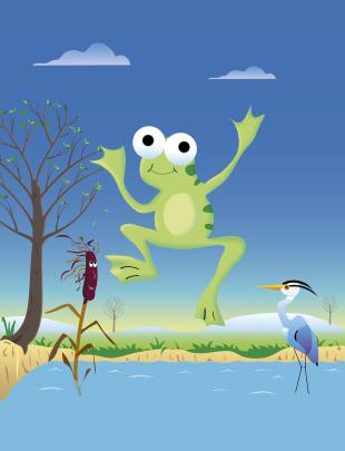 Leaping Frog image