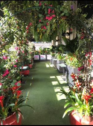 The Boisdale Canary Wharf Flower Show - One Love Jamaica Garden image