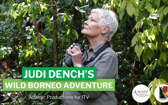 Judi Dench's Wild Borneo Adventure Special Premiere + Q&A with Judi Dench image