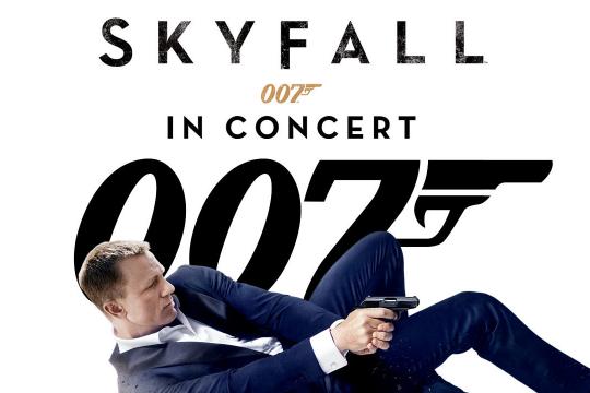Skyfall in Concert image
