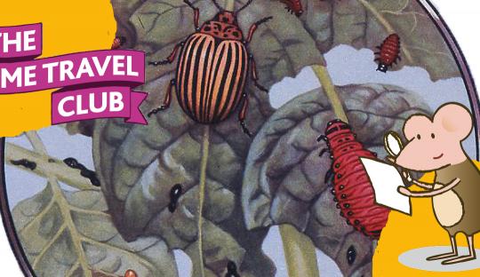 The Time Travel Club: A Bug's Eye View image