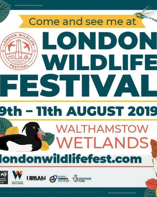 London Wildlife Festival image