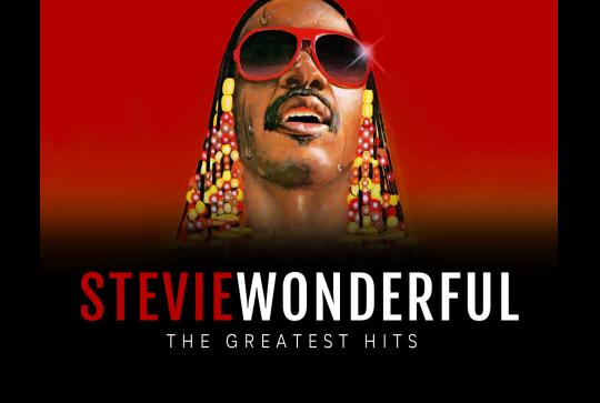 The Stevie Wonderful Show image