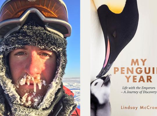 My Penguin Year: Life with the Emperors image
