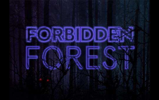 Forbidden Forest image