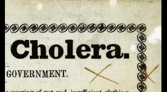 Cholera! Public health in mid-19th century Britain image