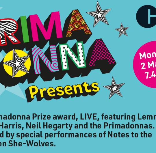 Primadonna Prize Launch and #VoicesInTheDark Performance image