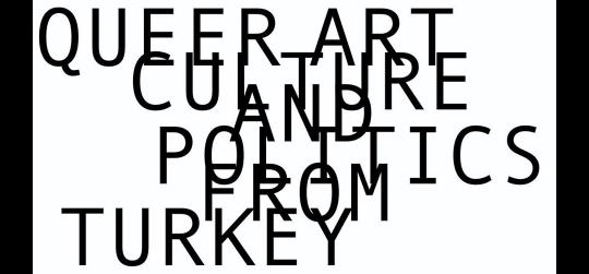 Symposium: Queer Art Culture and Politics from Turkey image
