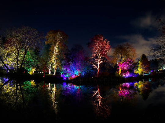 The Enchanted Woodland at Syon Park image