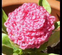 Knit A Rose and Pattern Reading image