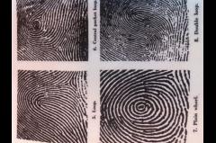 The Fingerprint Project: Measuring Ourselves image