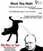 'Black Dog Night' image