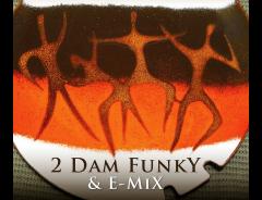 2 Dam Funky image