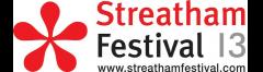 Streatham Festival 2013 image