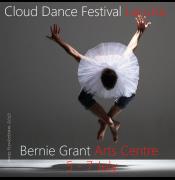 Cloud Dance Festival: Lacuna image