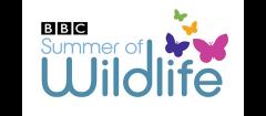 BBC Summer Of Wildlife Day image