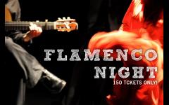 Flamenco Night image
