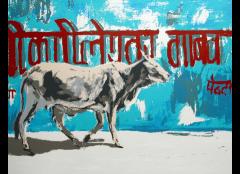 HOLY COW! - Natasha Kumar     image